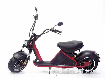 citycoco, Elektrikli motosikletlər