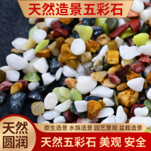 五彩石厂家批发彩色石头鱼缸底砂造景水族箱装饰石头天然雨花石