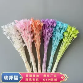 永生花;鲜花花艺制品;干花