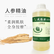 �S�����l �˅���Ħ���� �˅��o�l���� ���w��Ħ��