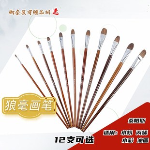 Sampas water-chalk set Wolf painting brush single round front watercolor pen acrylic paint brush students with brush