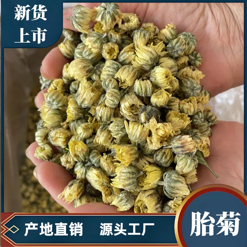 新货北京胎菊江苏胎菊菊花茶杭白菊朵花胎菊米散装批发源产地厂家