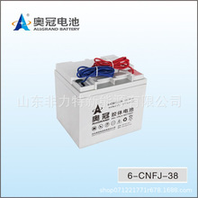 ALLGRAND�W����늳�6-GFM-33 12V33AHֱ����  ��늙�  UPS�Դ