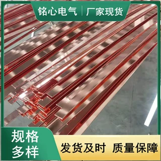 铜覆钢扁钢40*4镀铜扁钢50*5 铜覆钢扁钢60*6 70*7 接地棒17.2 20