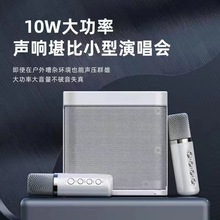 YS203K歌蓝牙音响跨境无线双麦克风KTV一体机家庭户外203蓝牙音箱