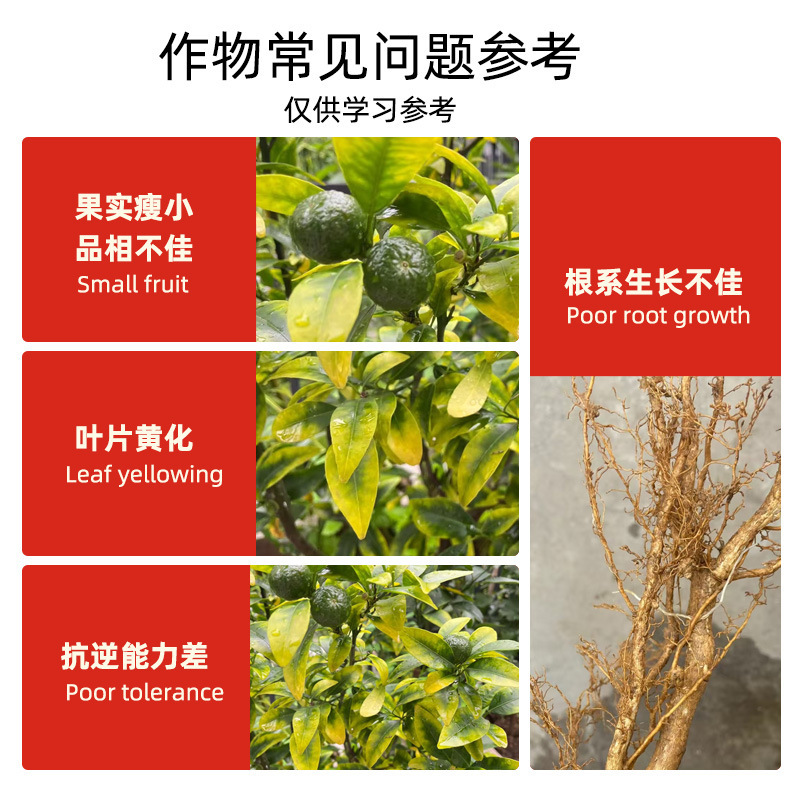 黄化病を解消する柑橘類の花黄化病専用肥料、果樹の緑化促進、栄養強化、強力な肥料、卸売、越境販売|undefined
