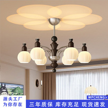 2026�¿�ȫ���V��ʽ�й��L�͏d��������ɫ��d�߼��е�����ɽ����