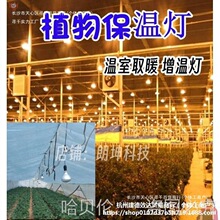 �»��܄�ֲ��̫ꖹⱣ�ؾGֲ�߲˟�������Ҽt�⾀��ȡů���؟�