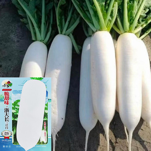 ���l���}���N�ӿ����ͺ�����LƤ�����۶�֭ζ�ʲ��������}����
