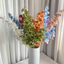 3������������Gֲ��c�Ƶ�ܛ�b���滨�ٻ� Ӱ���Ĕz�������컨