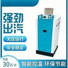 生物質蒸汽發生器超低氮燃氣燃油電加熱工廠服裝廠用熨燙蒸汽鍋爐