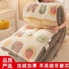 双面羊羔绒被子加厚保暖雪花绒学生宿舍被芯单人冬季棉被跨境外贸
