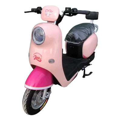 Dingzhi – Electric Motorcycle City Auto Parts and Accessories