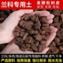 兰科养花发酵栽培松树皮