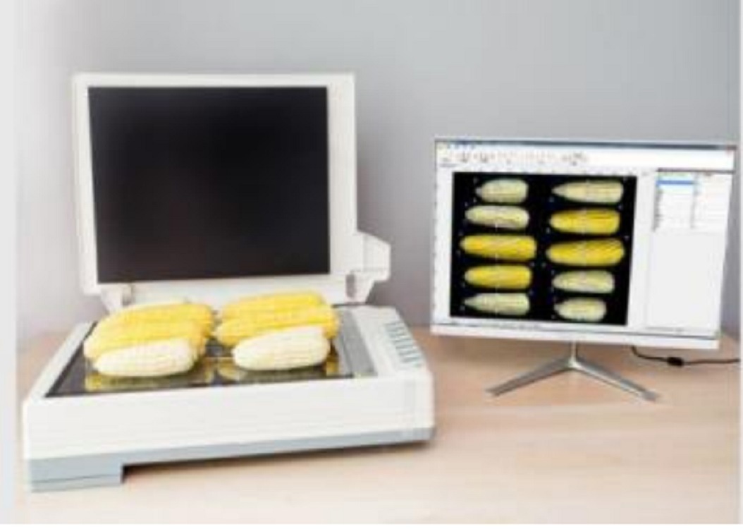 考种及千粒重分析仪（含玉米果穗）  型号 LBKZ-G 库号 M145132