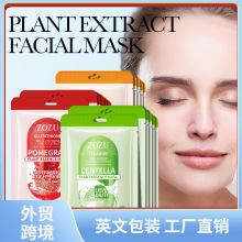 ȫӢZOZUeѩʯֲﾫAFacial mask MϿ羳Ql