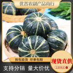 贝贝南瓜新鲜正宗山东板栗味小南瓜栗面婴儿孕妇粉糯辅食一件代发