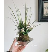 �H�۵ľGֲ ���\���~̦�\���辰�k���҃Ⱥ��B��������GֲС����