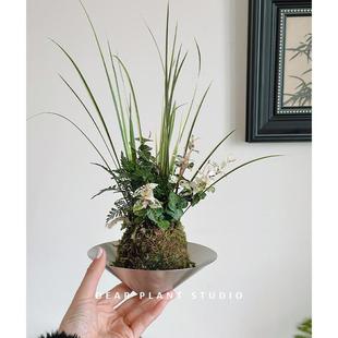 H۵ľGֲ \~̦\辰k҃ȺBGֲС