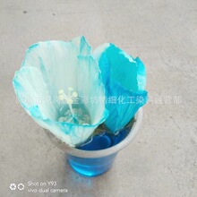 鲜花专用吸色剂 花艺资材着色 玫瑰 郁金香色素 花店午夜蓝染料