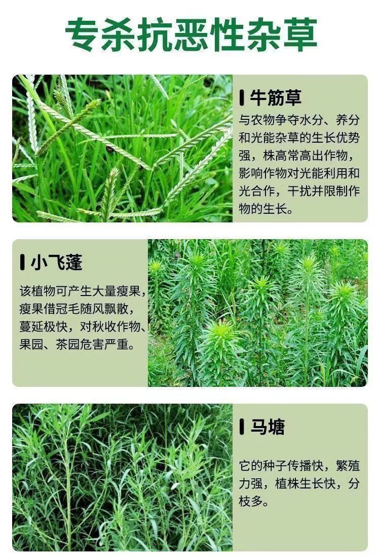 a38b540f-308f-493d-b4a6-c282d0729ee0.jpe