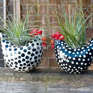 Free Range Black and White Chickens ��֬���u�ڰ׹��u����[��