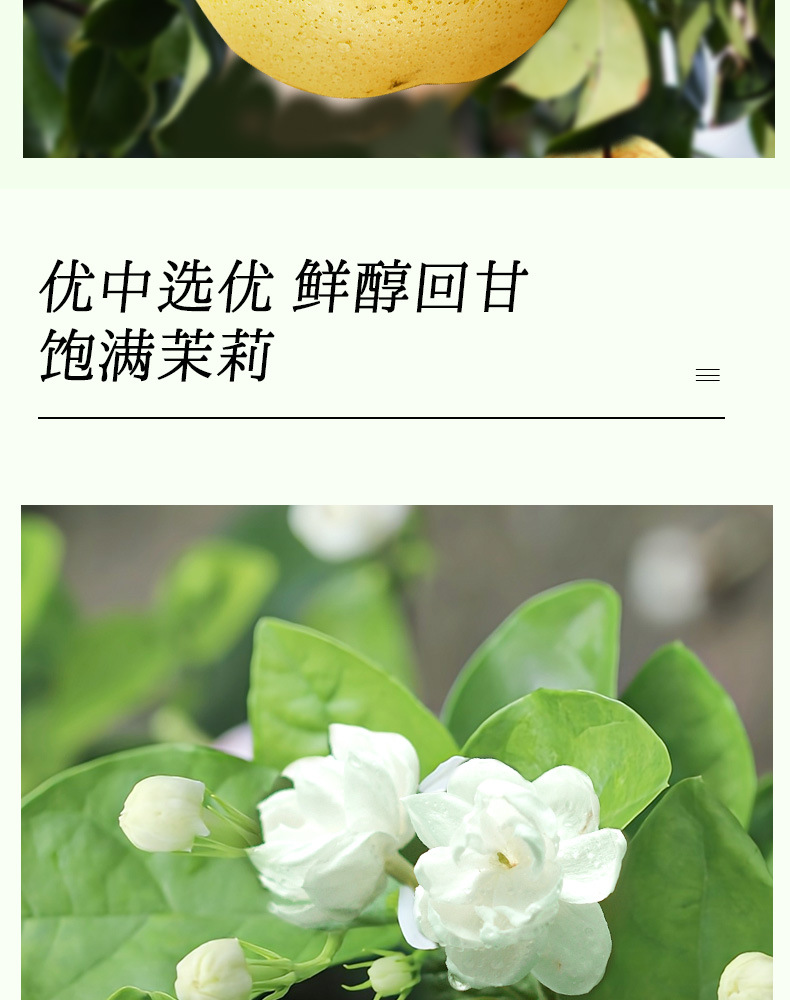 Snow Pear Jasmine Tea 80g Bag 10 Cold Brew Sachets Sugar Free Floral Fruit Tea key features