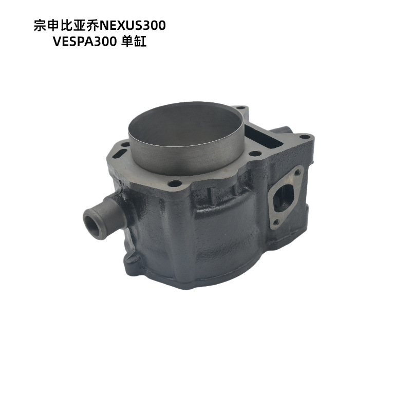 Motorcycle Cylinder Is Suitable for Zongshen Biaqiao Nexus300 Vespa300 Efi Cylinder Kit