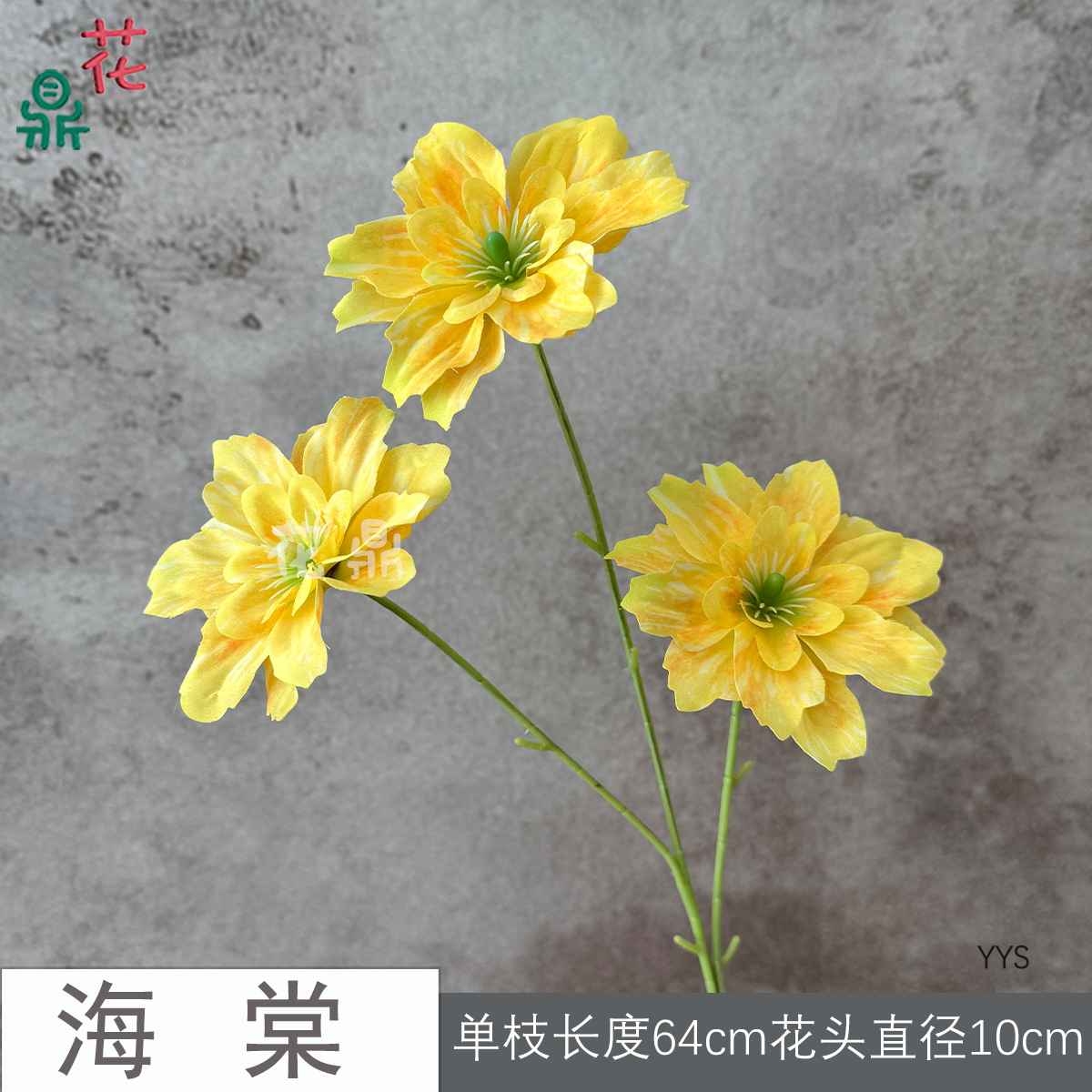 Begonia YYS màu vàng