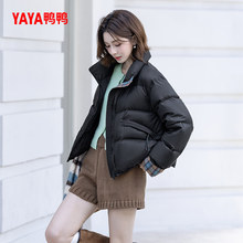 �������ϵ�С�YAYA����25���¿�Ů�Ӻ��������С�������I��q��