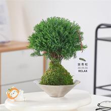 Fˮ̦\ֲɺBϵ҃kGֲ[