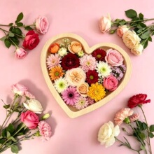 ����������ľ�бP���ո���r���[�P����ˮ���c�ıP������c���бP