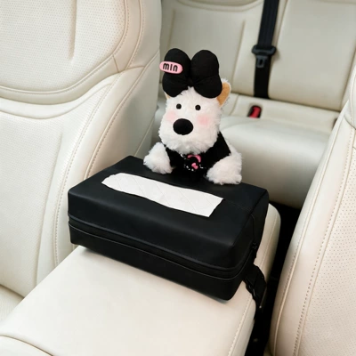 Tissue Box, Seat-mounted Tissue Bag, Car tissue box/set