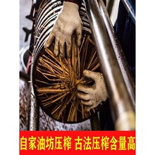 ��������؛������ɽ����������۲����^���A�ϴ�^�l�뚢�x