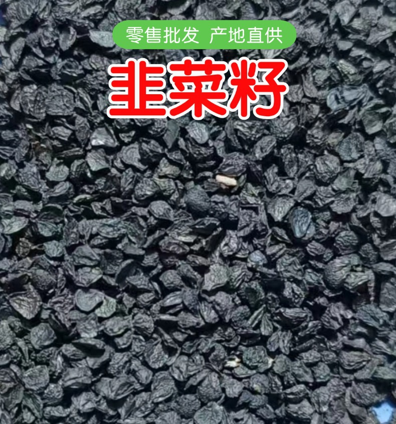 Dried Chinese Chive Seeds Jiu Cai Zi 500g Northeast China New Crop overview
