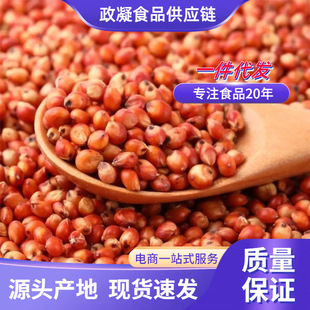 ��Ƥ�t�������l ���l �¼t�����t������ȥ��ճ����ᄾ����