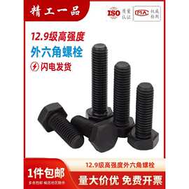 12.9级高强度外六角螺丝螺栓加长螺杆螺钉MM5M6M8M10M12M14M16M20