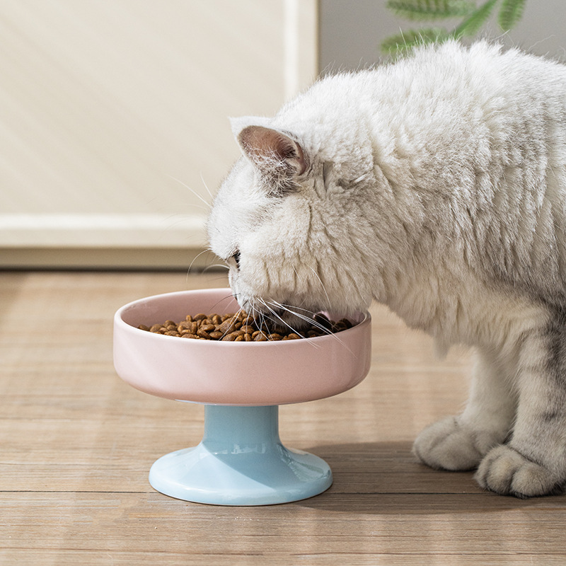 Tacos de cerámica para mascotas de patas altas para gatos, tacos para perros de alto valor de protección de la columna cervical, tacos de comida para gatos de gran calibre, tacos de arroz para gatos macarrones