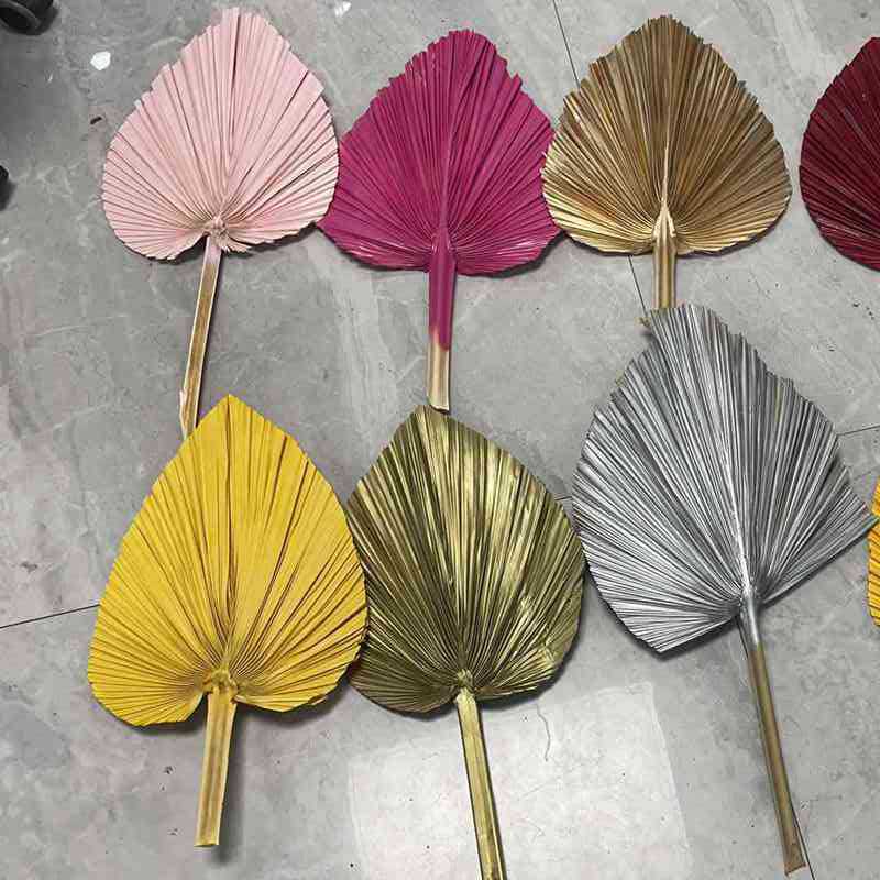 Colorful fan natural Palm Palm Pu Fan Dry Flower Flower Flower…