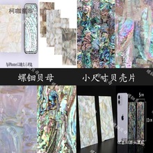 ���ؐĸؐ����Ƭ�돈Ӳ���ɏ������R���ͻ��������Zؐƴ12��̫��