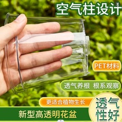 透明な蘭の水の苔の胡蝶の蘭の専用の植木鉢のプラスチックの通気性の熱い植石のgokの鉢植えの青山は根を抑えて根のたらいを見ます。