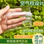 青山盆栽透气透明石斛