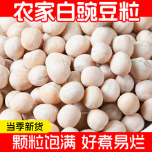 nx四川白豌豆农家生豌豆干可发豆芽豌豆粒干货小面商用豆类杂粮豌