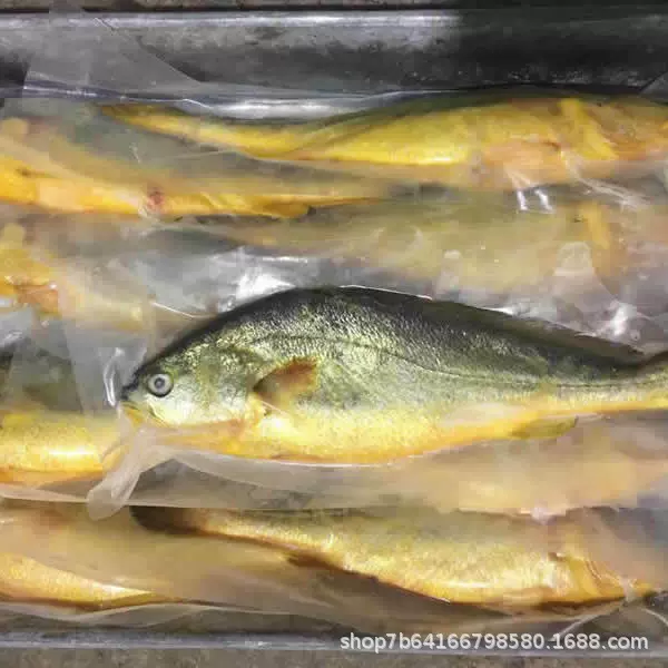 黄花鱼新鲜大黄花鲜活冷冻鲜活大黄鱼海鱼深海海鲜水产生鲜