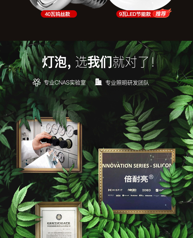 6bfd1b33-ffbb-4235-a2c8-f5ac96467308.jpe