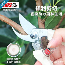 �ձ��M��ARS����˹��֦�������z��֦���������޼���֦�@ˇ�@�ּ�