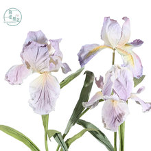 ۼˇͼˇSβֹȾĔz߻Y·̈