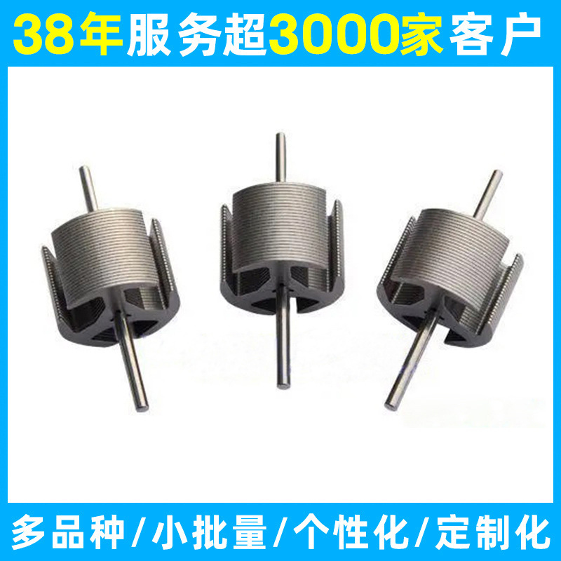 Brushless Fixed Rotor for Vacuum Cleaner Sonic Motor Dc Fan Motor Core Brushless Fixed Rotor for Vacuum Cleaner Sonic Motor Dc Fan Motor Core