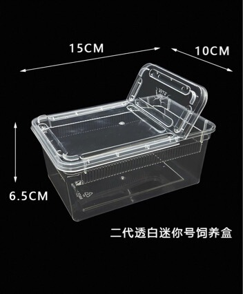 2Nd Generation Mini-Sized Insect Breeding Box for Silkworms, Geckos, Tarantulas, Horned Frogs, Insects, Turtles, and Snakes to Prevent Escape 2Nd Generation Mini-Sized Insect Breeding Box for Silkworms, Geckos, Tarantulas, Horned Frogs, Insects, Turtles, and Snakes to Prevent Escape