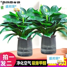 ���~��荾G�������ԾG�}�jˮ��Gֲ���k���҃�����ȩ�ļ����B����